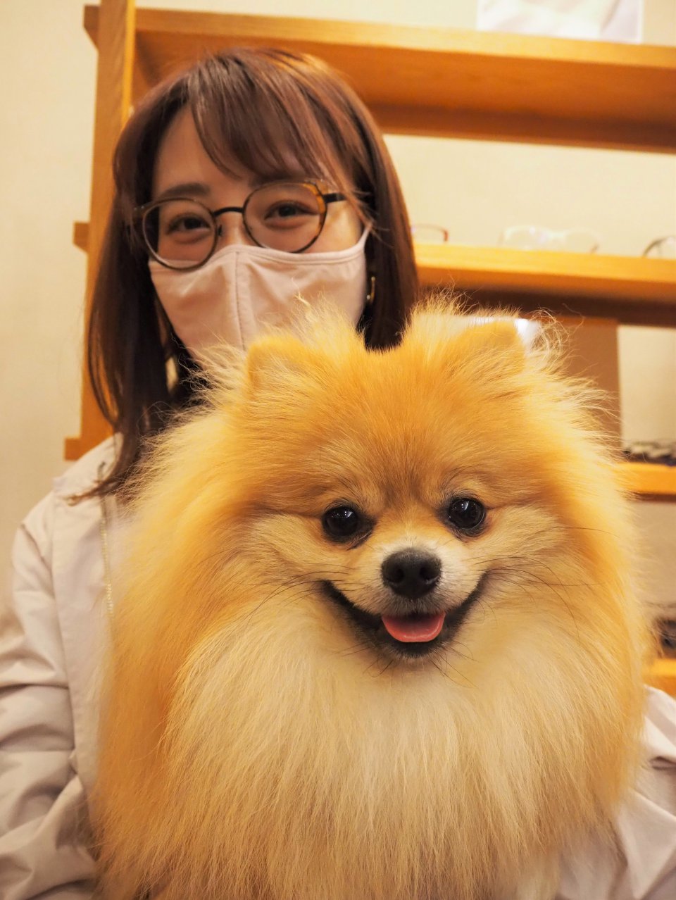 可愛い相棒の画像